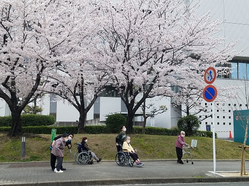 虹の郷レク（イメージ）